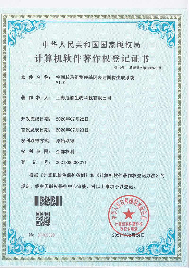 空間轉(zhuǎn)錄組測序基因表達(dá)圖像生成系統(tǒng)
