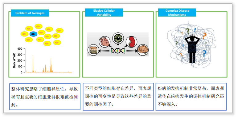 單細(xì)胞ATAC測(cè)序